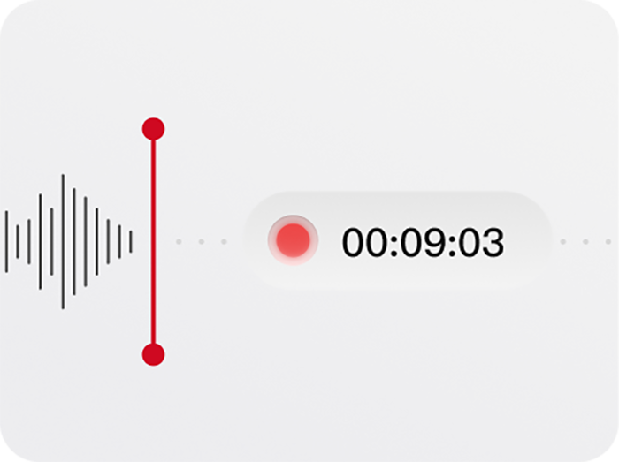 Step 3: Recording Starts Automatically